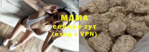 прущие грибы Михайлов
