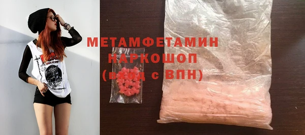 гидра Михайловка