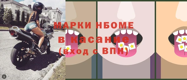 прущие грибы Михайлов