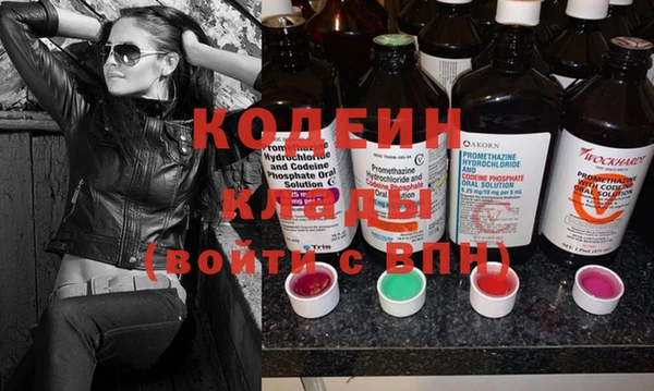 прущие грибы Михайлов