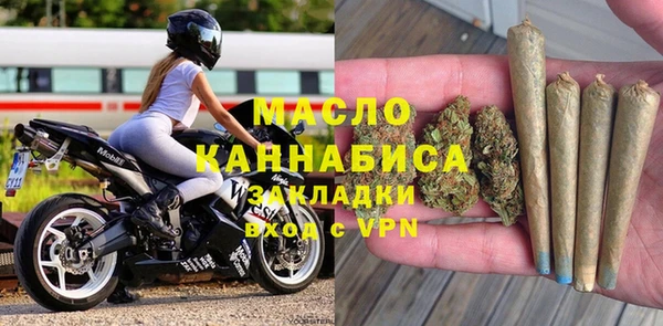 гидра Михайловка