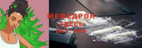 прущие грибы Михайлов