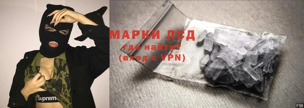 прущие грибы Михайлов