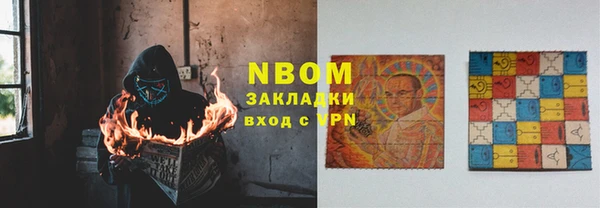 гидра Михайловка