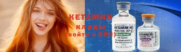 прущие грибы Михайлов
