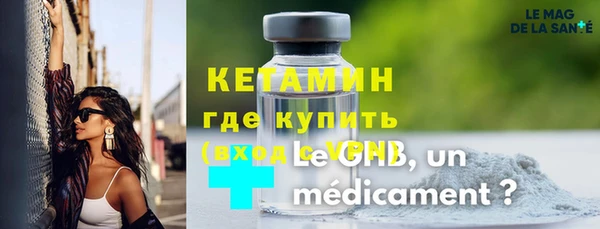 прущие грибы Михайлов