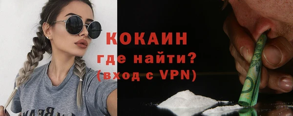 гидра Михайловка