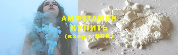 гидра Михайловка