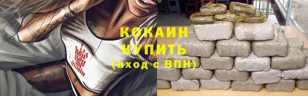 прущие грибы Михайлов