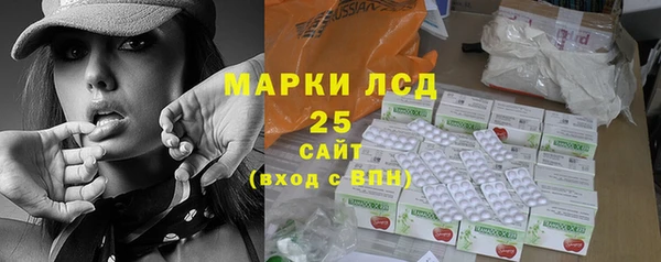 прущие грибы Михайлов