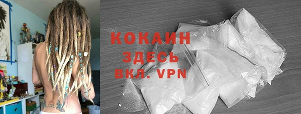 гидра Михайловка