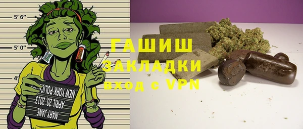 прущие грибы Михайлов