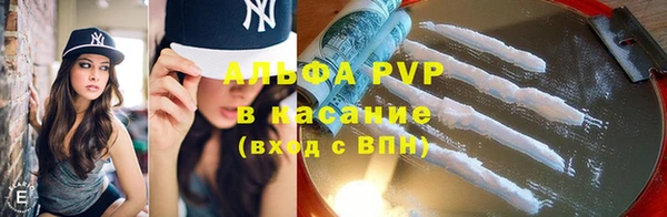 прущие грибы Михайлов