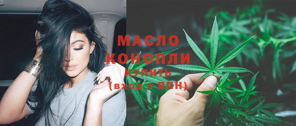 гидра Михайловка