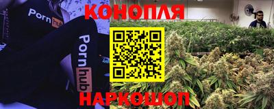 индика Кунгур