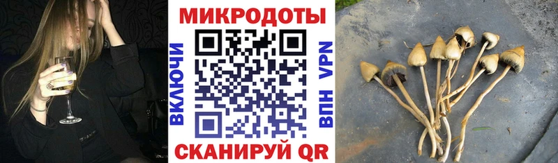 Галлюциногенные грибы Psilocybe  Холмск 