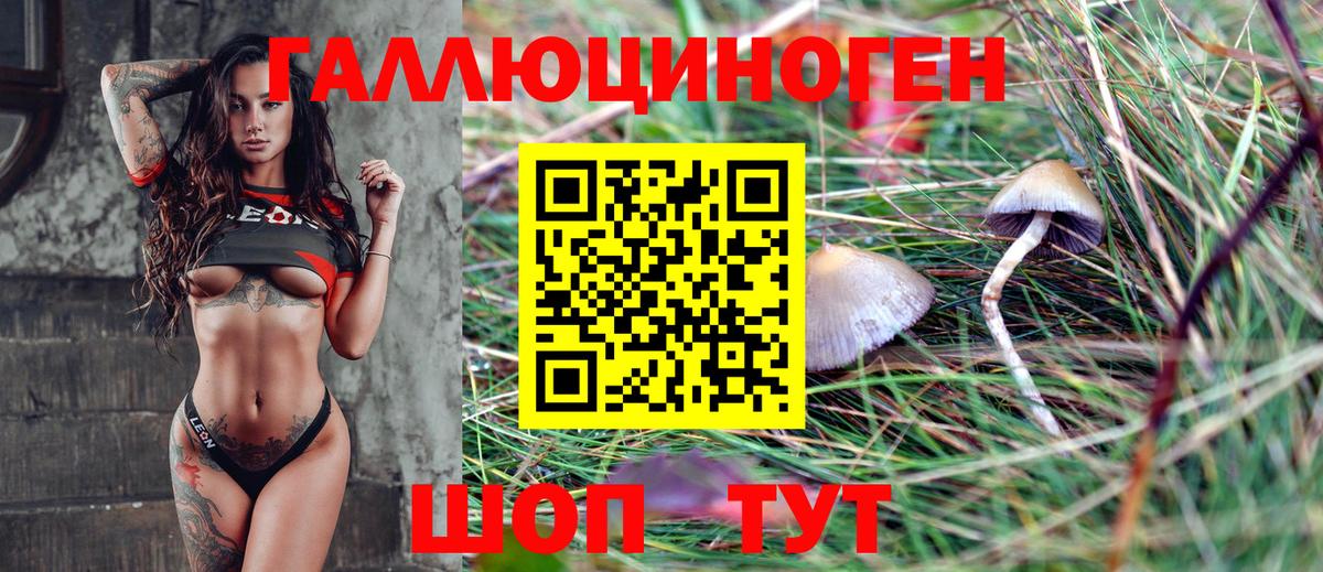 Псилоцибиновые грибы Psilocybe  Вход с VPN  Холмск  Псилоцибиновые грибы GOLDEN TEACHER 